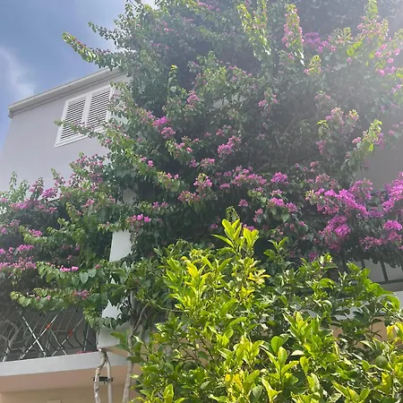 Sonja Apartamento Makarska
