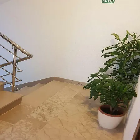 索尼娅公寓 * 马卡尔斯卡