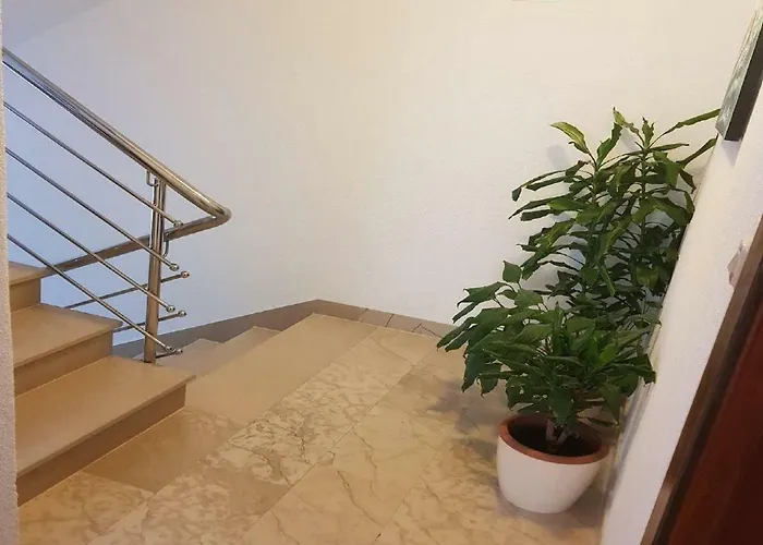 Sonja * Μακάρσκα